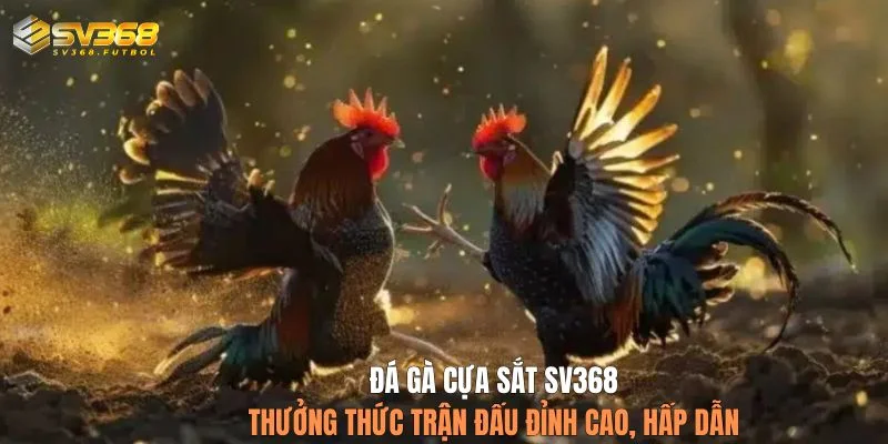da ga cua sat